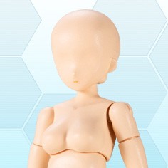 コトブキヤオンラインショップ/フレームアームズ・ガール シリーズ(2 ...
